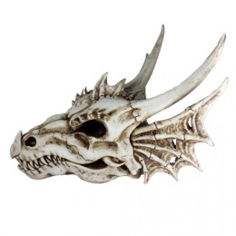 "Dracolich" Medium Dragon Skull Wall Trophy