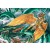 Raphael vs. Leviathan